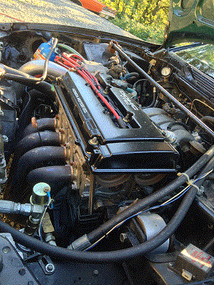 IMG_0057c.gif