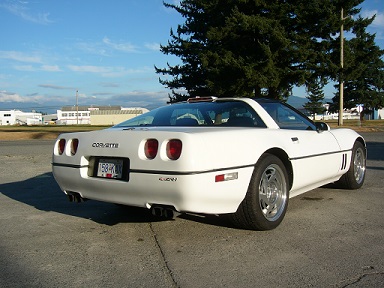 small_taillight_view.jpg
